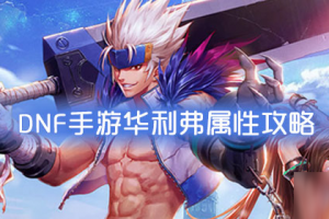 dnf华利弗技能_dnf华利弗