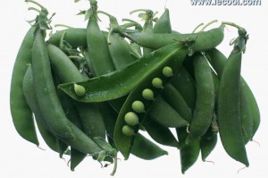 豌豆直播官方版游戏下载，豌豆直播安卓游戏下载