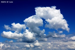 云顶之弈兔子手游怎么玩，云顶之弈兔子手游怎么玩的