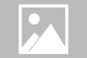 cf手游能跨区玩吗，手游cf官网入口