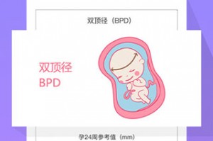孕期提醒IOS官方版游戏下载，孕期提醒IOS安卓游戏下载